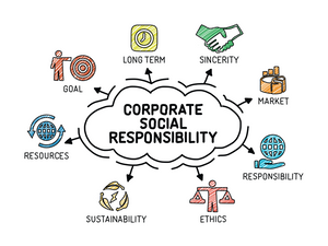Wondering How to Manage Your CSR? Let us help you through!