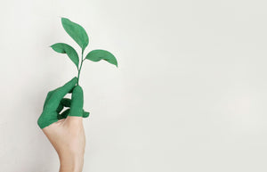 Why Sustainability Is the Key to Long-Term Business Success?