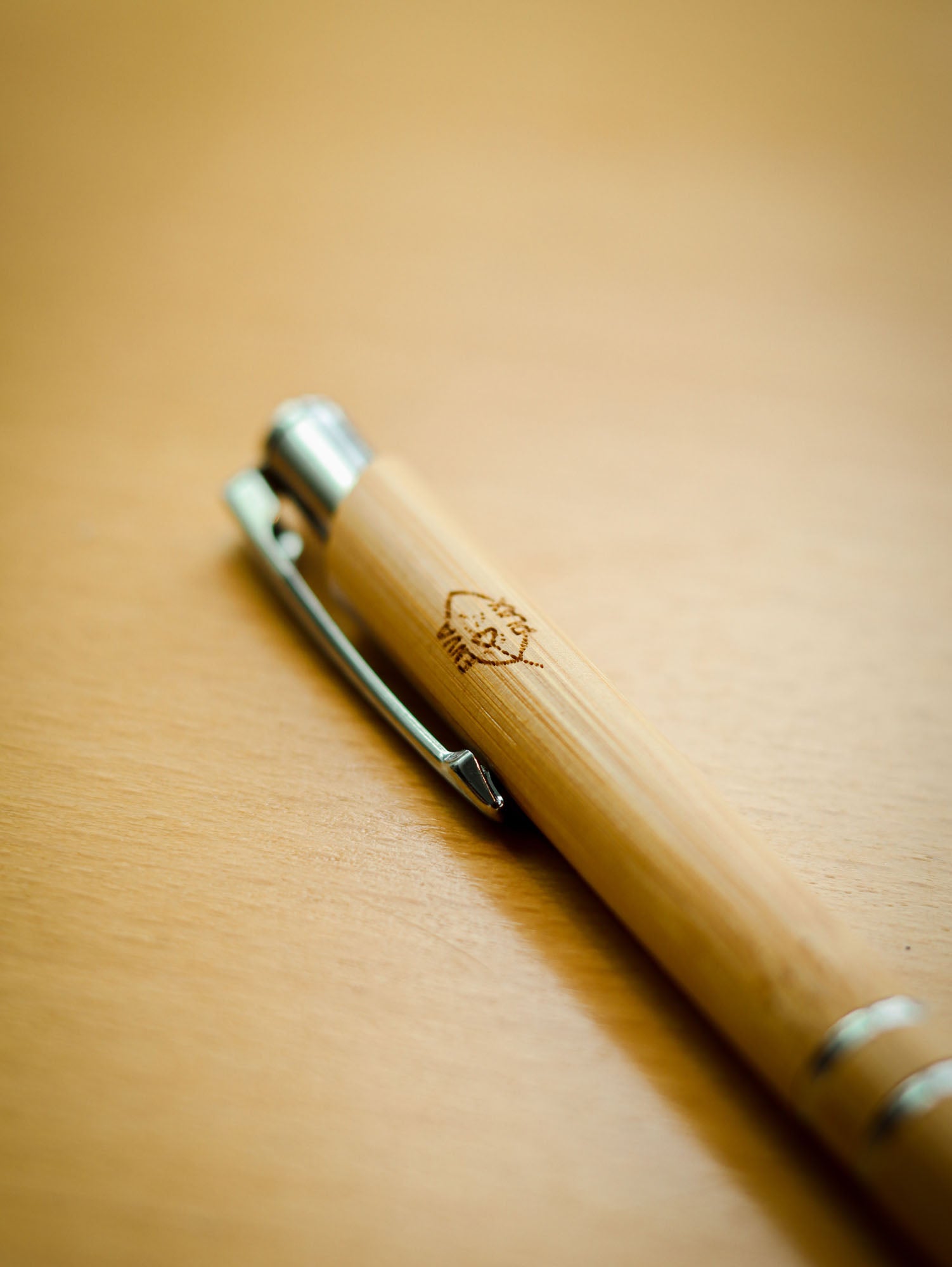 Bamboo Pen