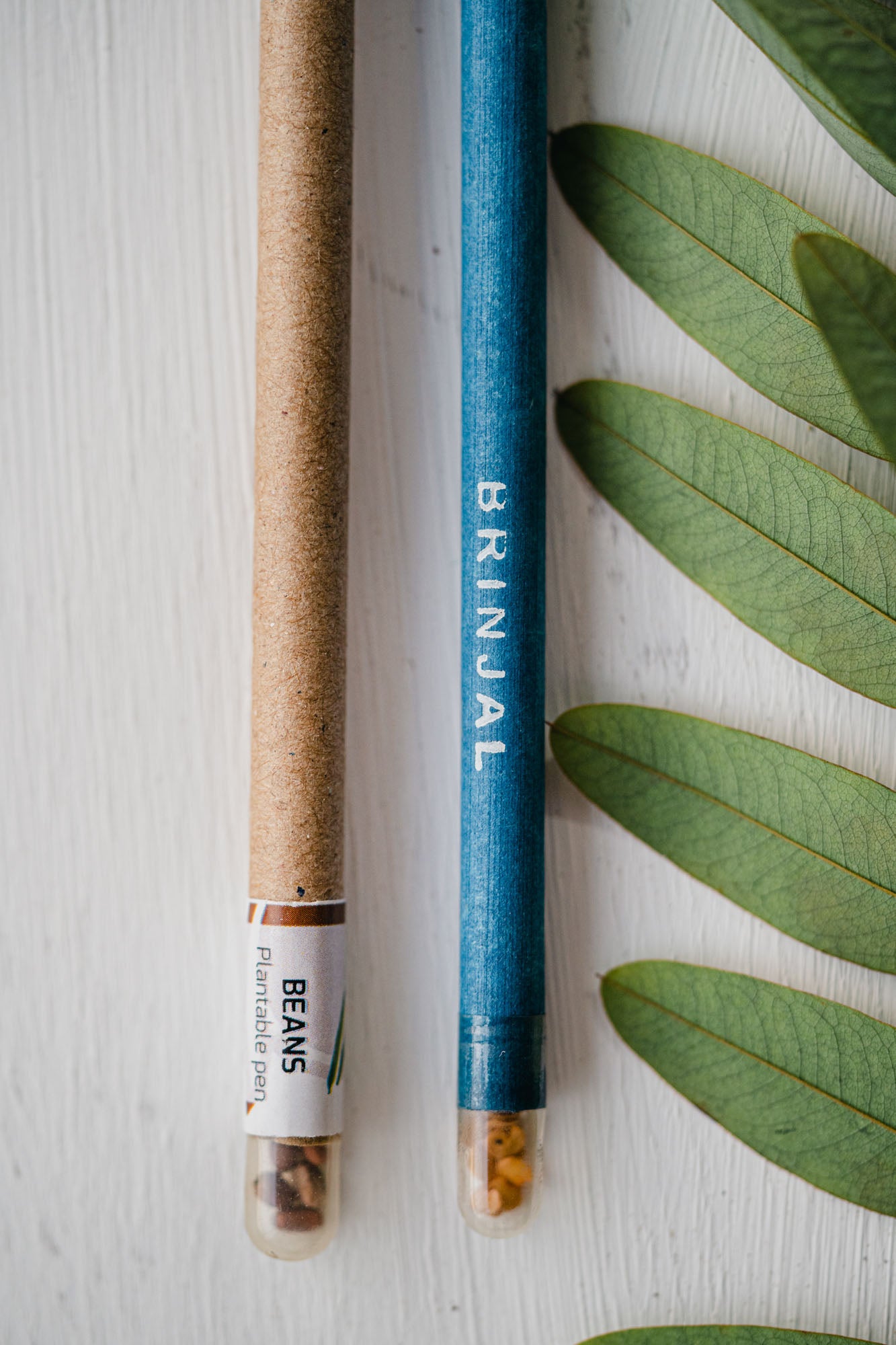 Card Board Seed Pens - Set of 5