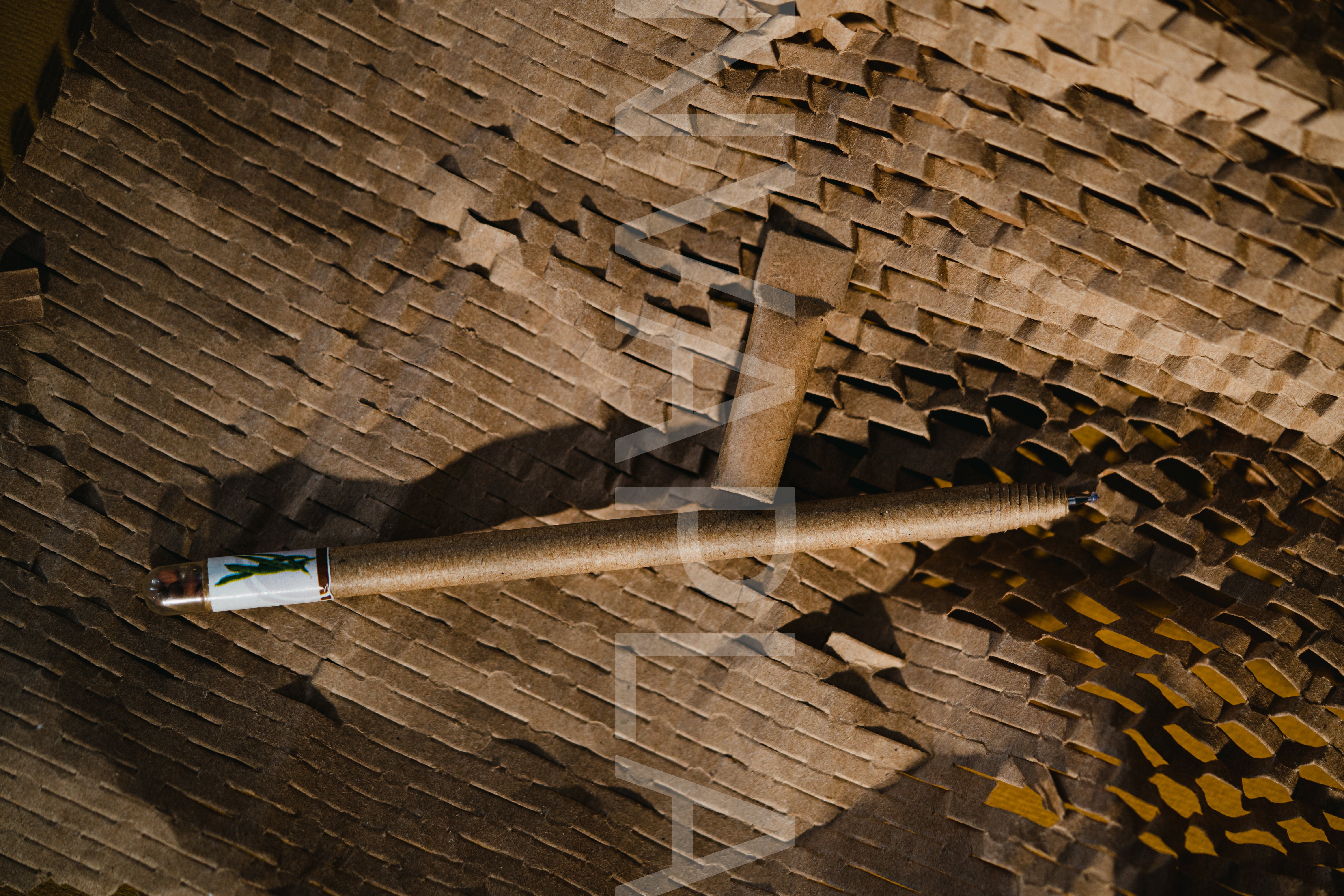 Card Board Seed Pens - Set of 5