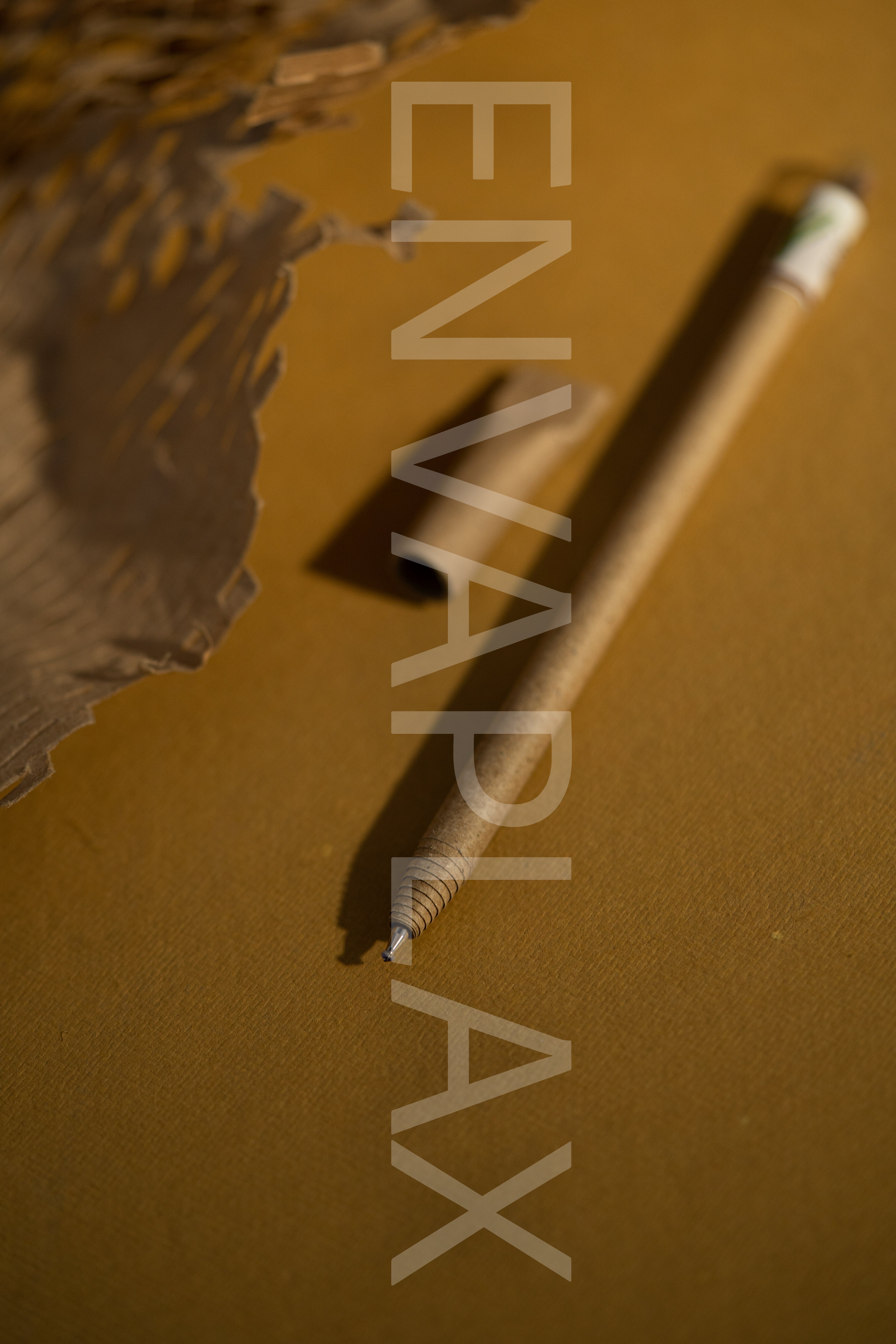 Card Board Seed Pens - Set of 5