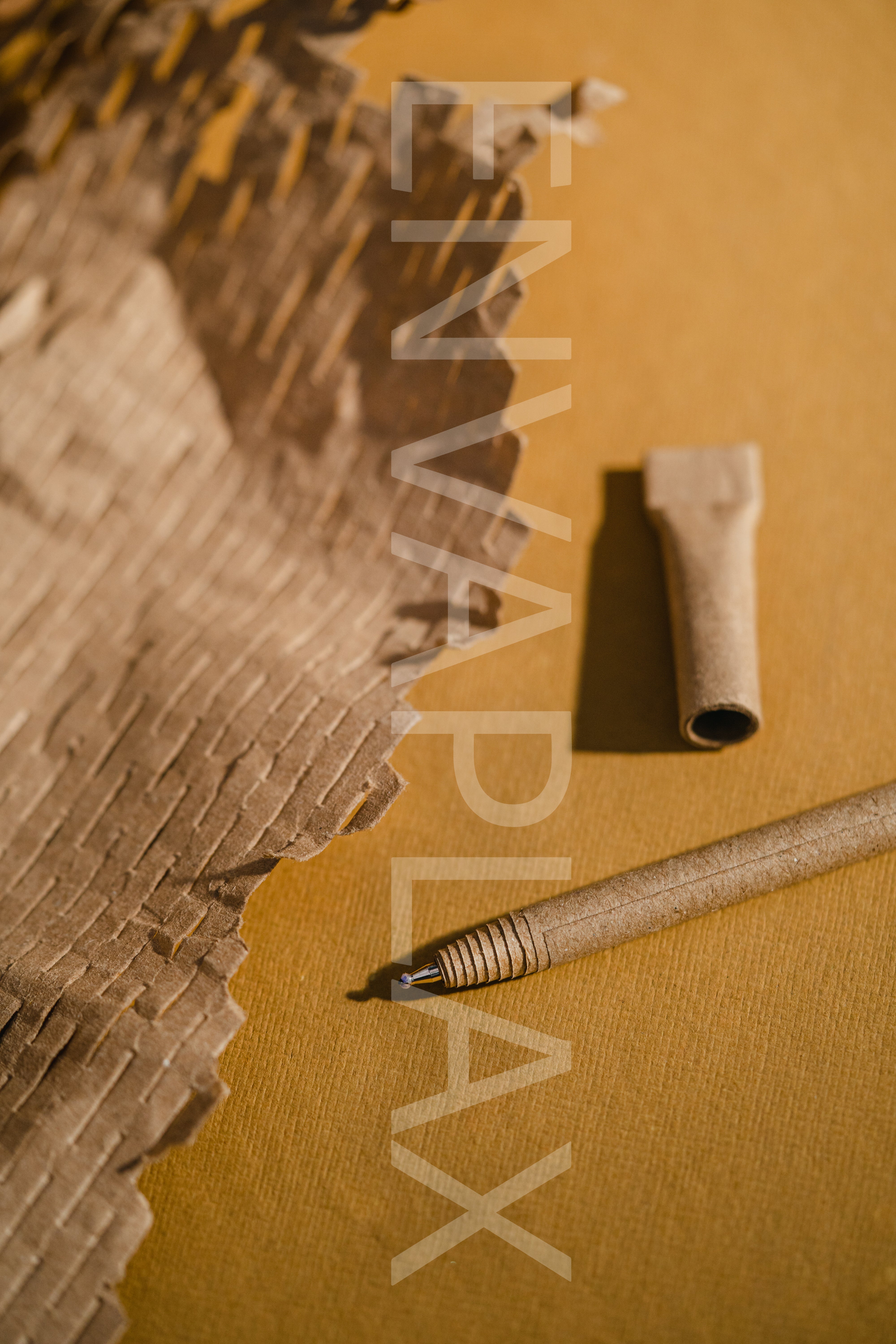 Card Board Seed Pens - Set of 5