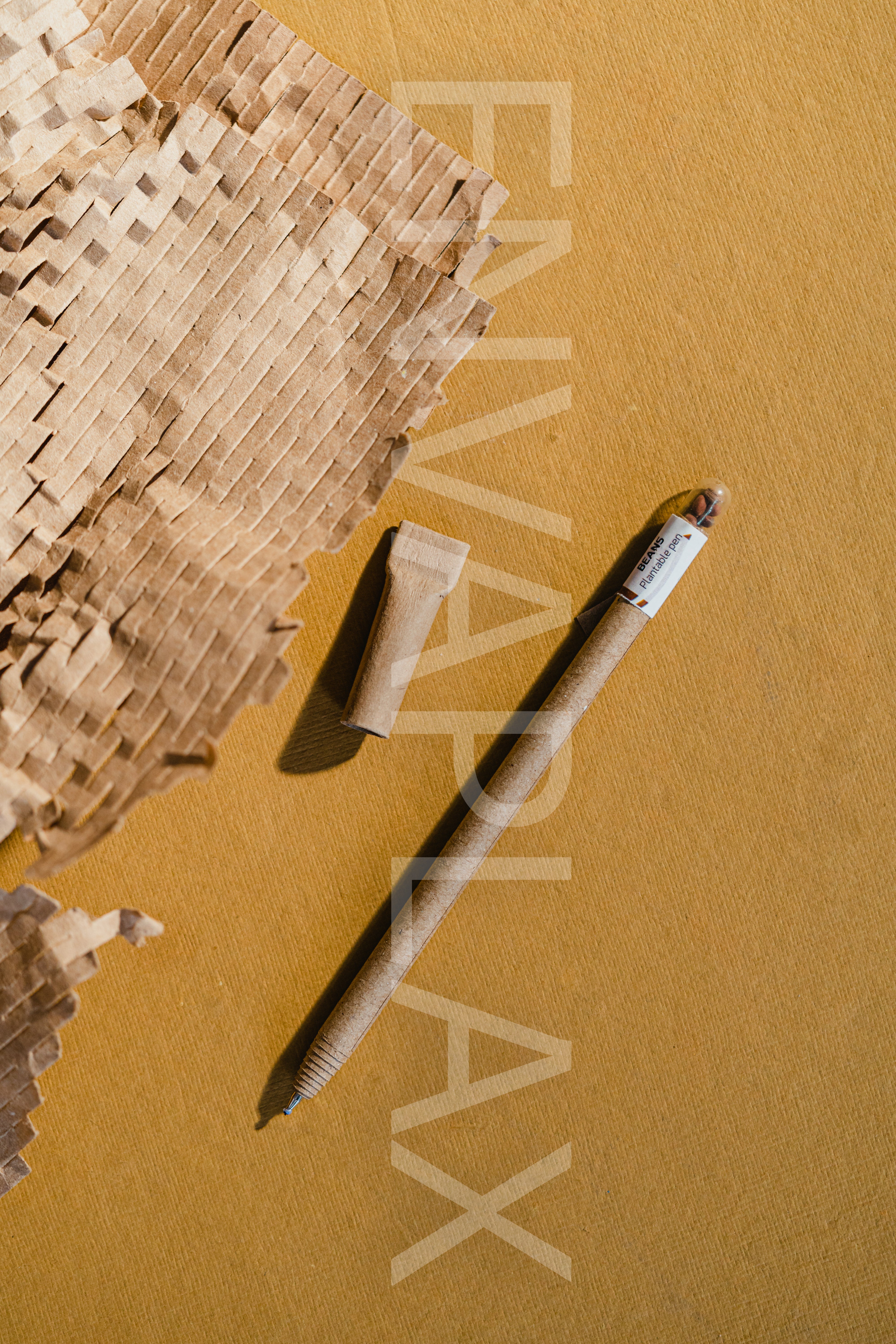 Card Board Seed Pens - Set of 5