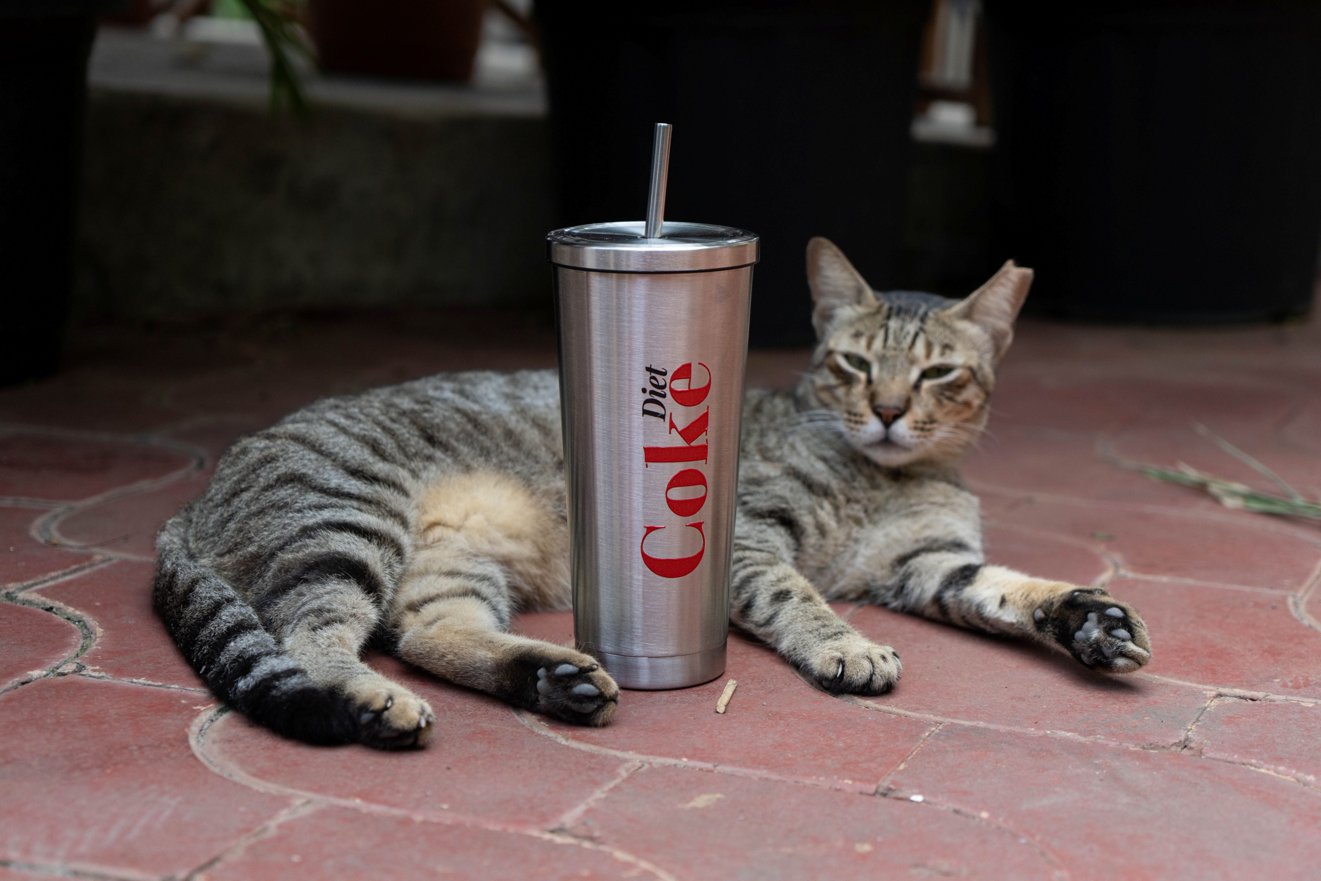 Silver Diet Coke Tumbler