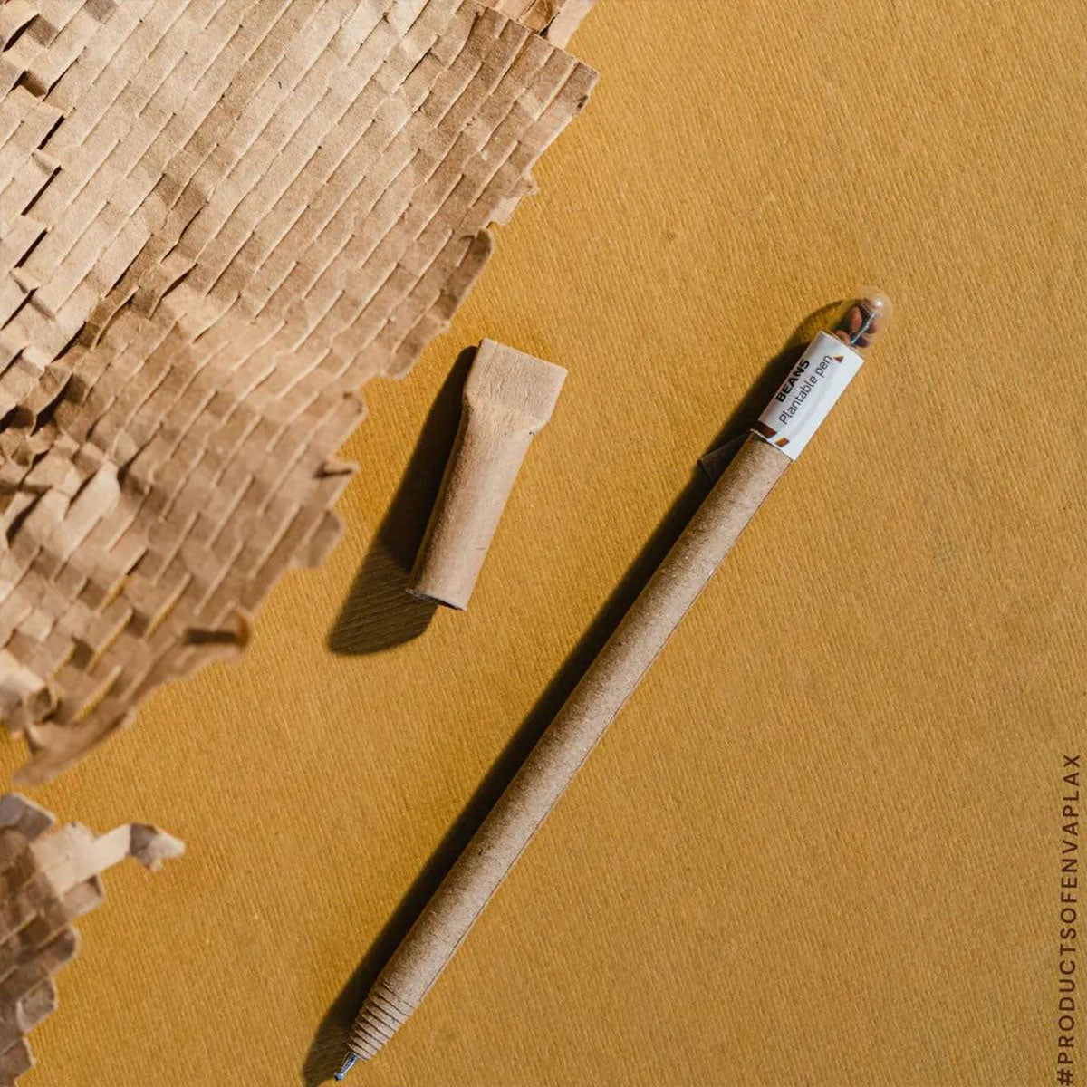 Card Board Seed Pens - Set of 5