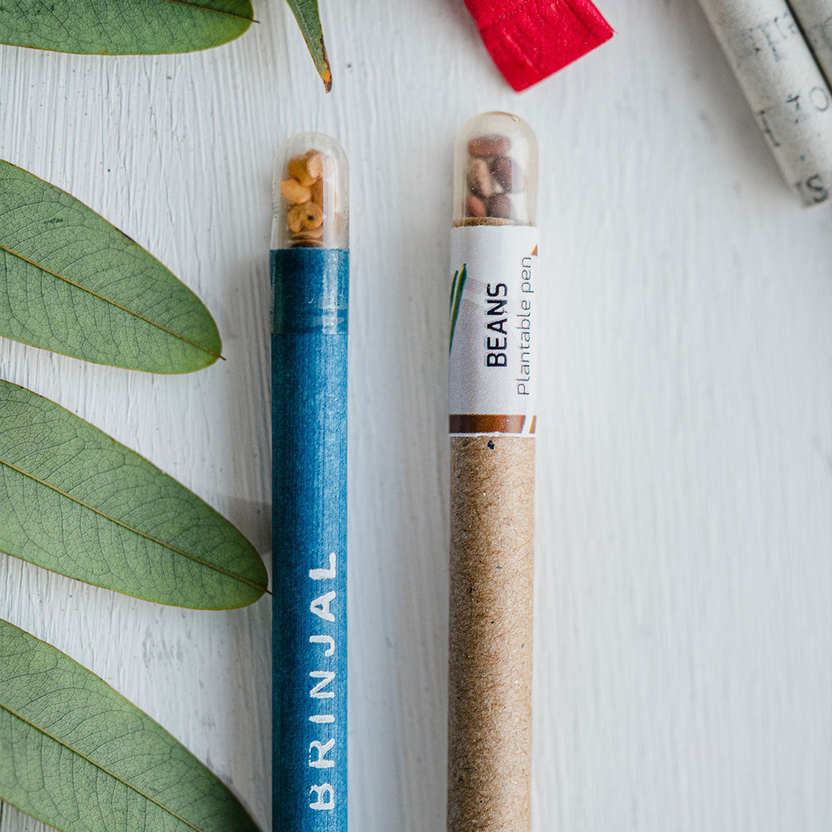 Card Board Seed Pens - Set of 5